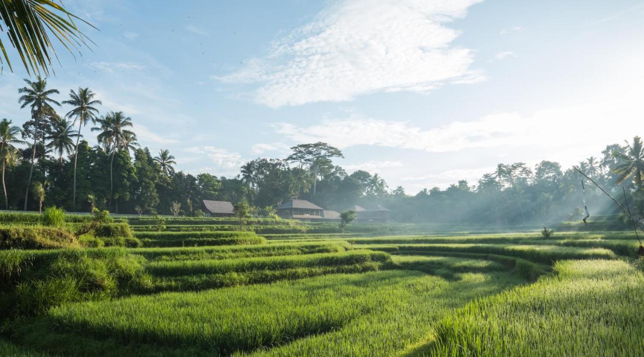 Benisari Batik Garden Cottage Ubud  Luaran gambar