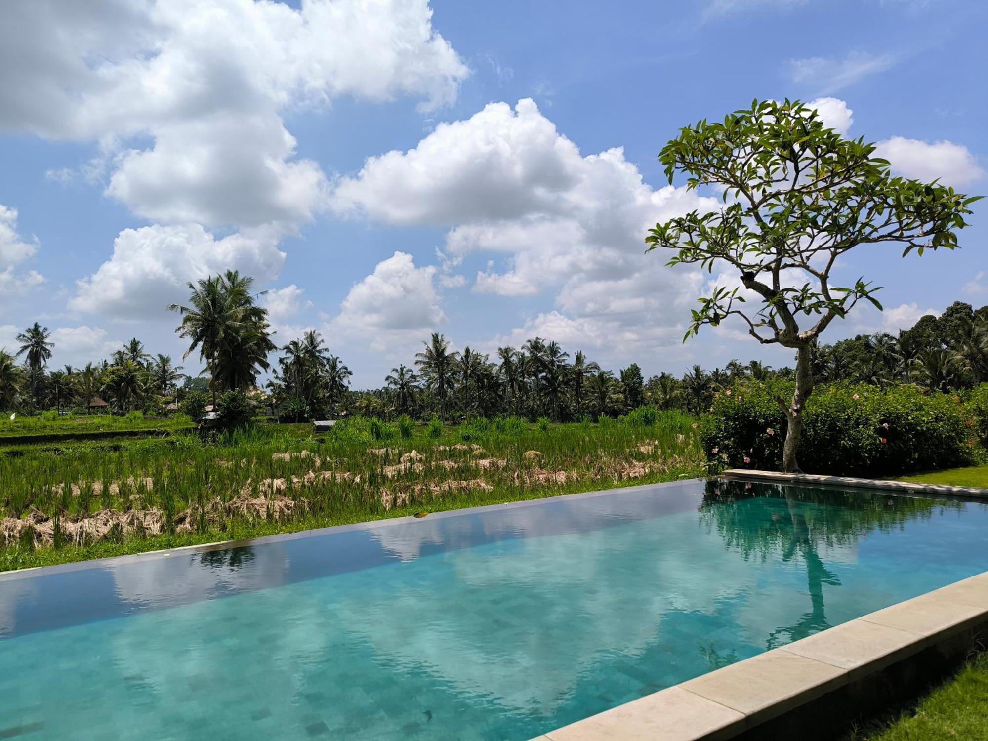 Benisari Batik Garden Cottage Ubud  Bilik gambar